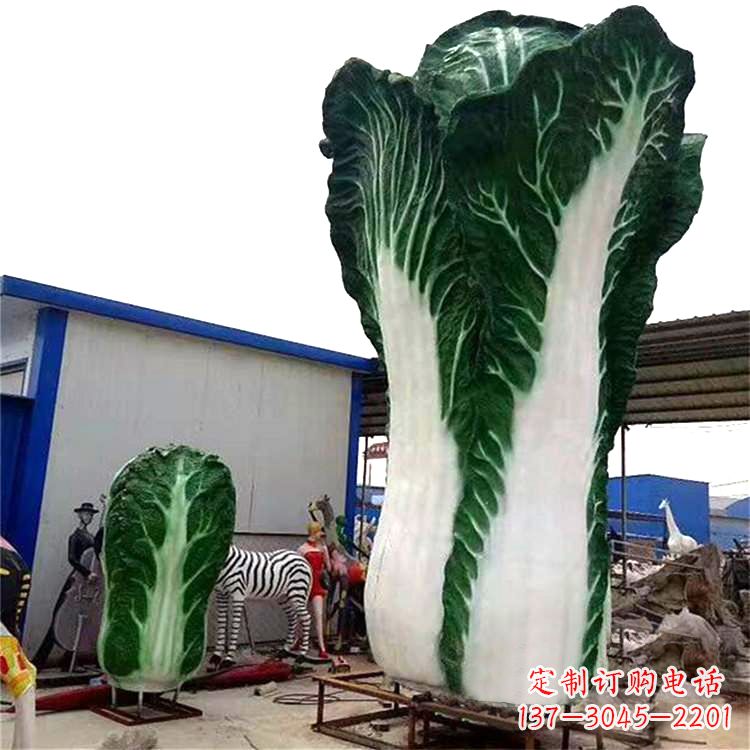 信阳白菜艺术——融合植物与艺术的完美结合