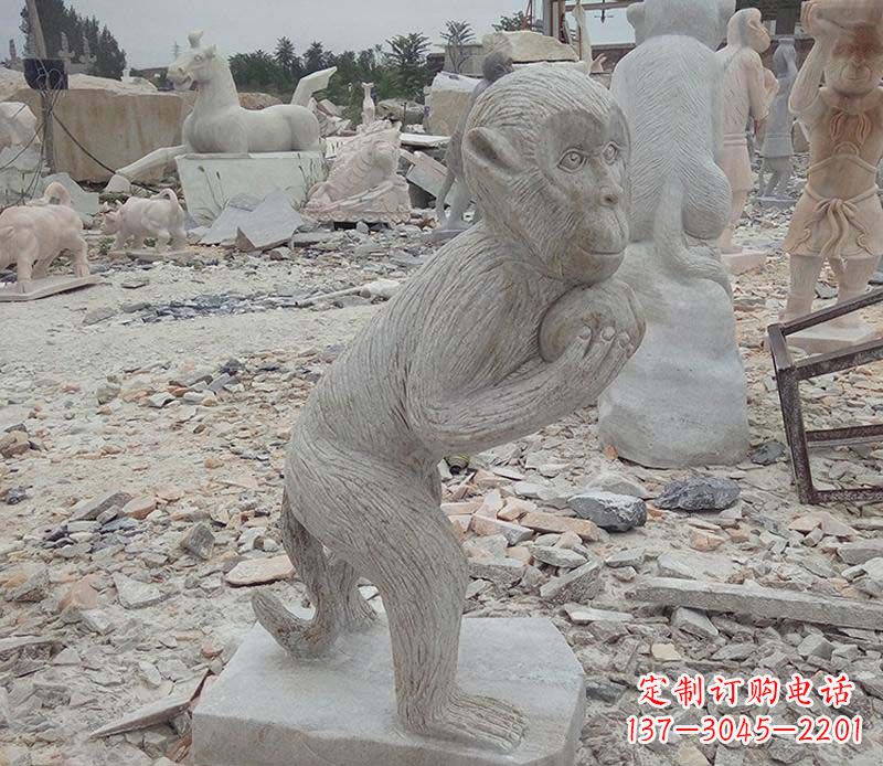信阳新猴子雕像,传承古老传说