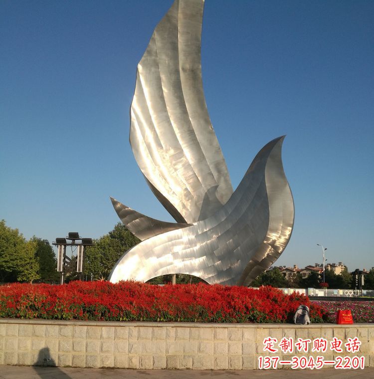 信阳“鸽子之恋”——让爱飞翔