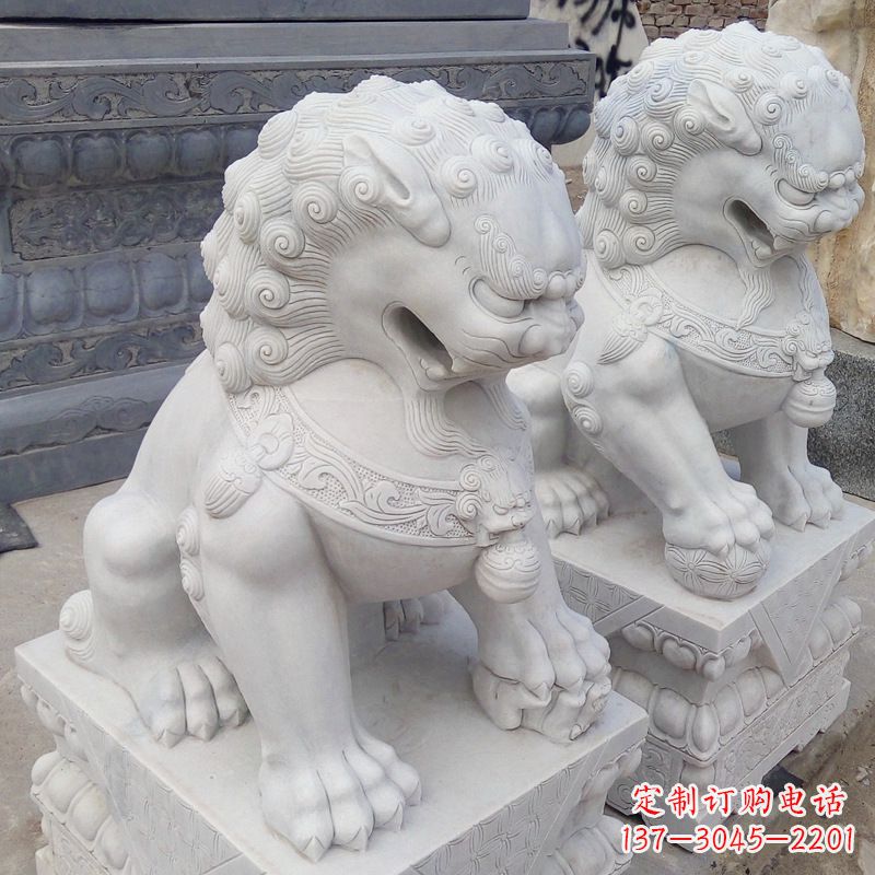 信阳新“北京狮之威”