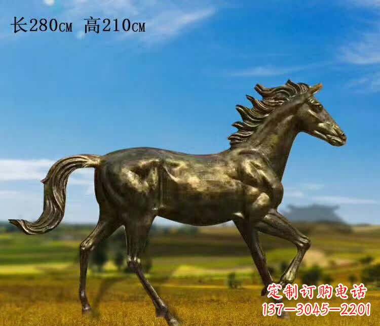 信阳新马之精髓