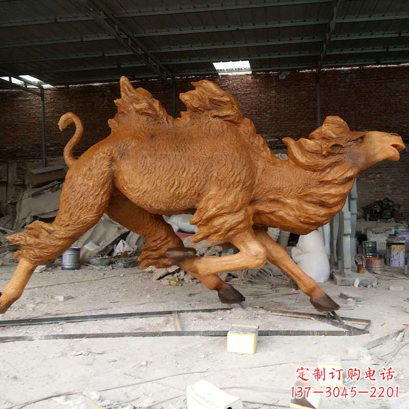 信阳活力四射的骆驼
