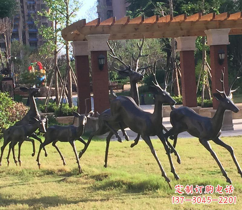 信阳“梅花鹿传递自由与美好”