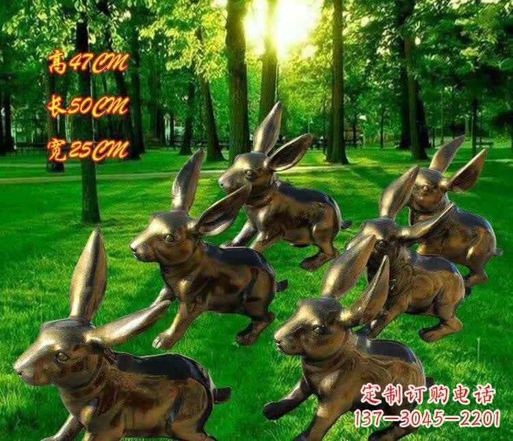 信阳兔子雕塑——激情活力的象征