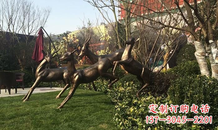 信阳“跃动的小鹿雕塑”