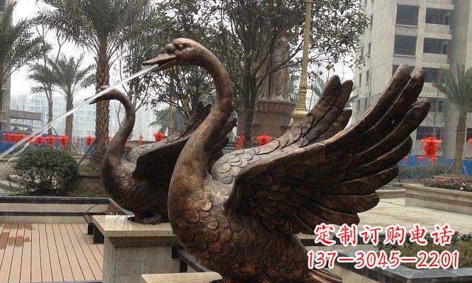 信阳天鹅雕塑美丽的视觉盛宴