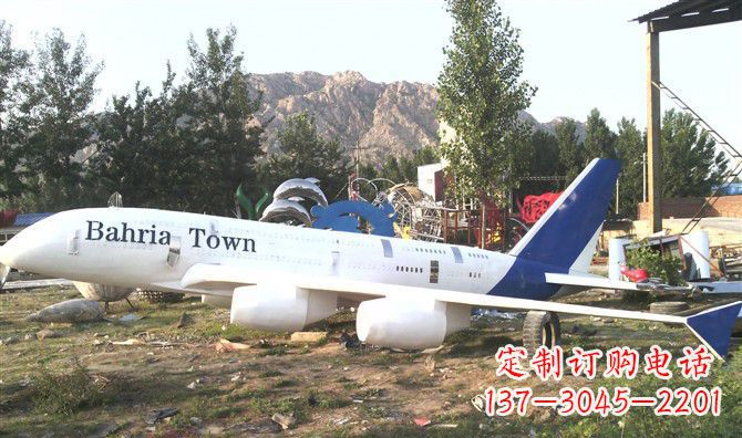 信阳静静躺在大地上的不锈钢飞机雕塑