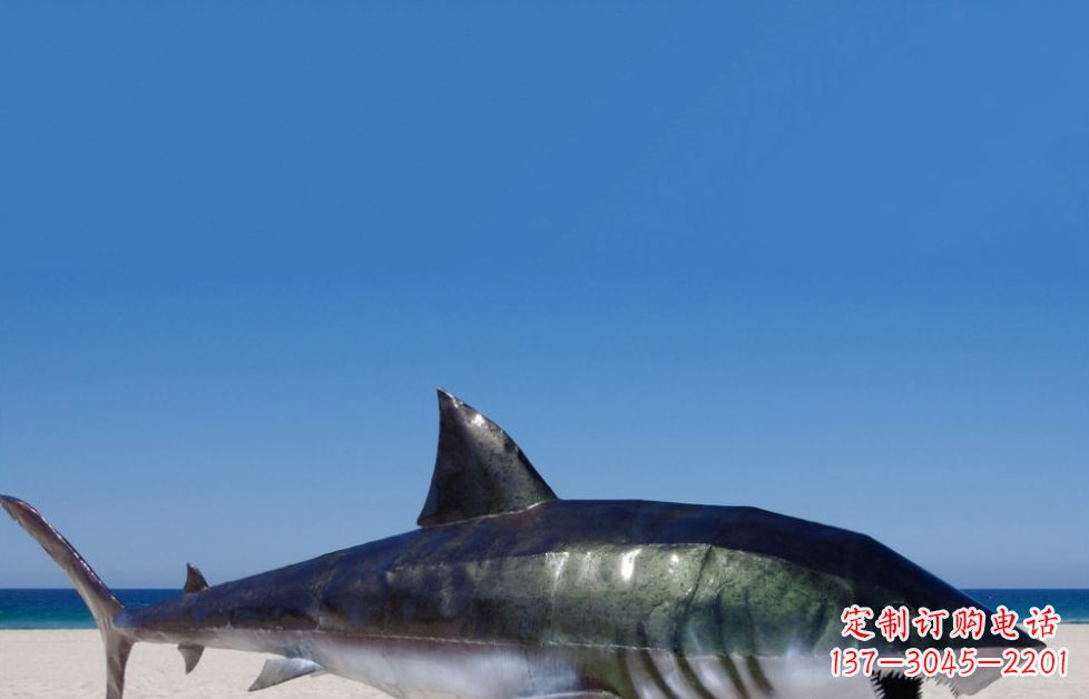 信阳海洋生物之美——不锈钢鲨鱼雕塑