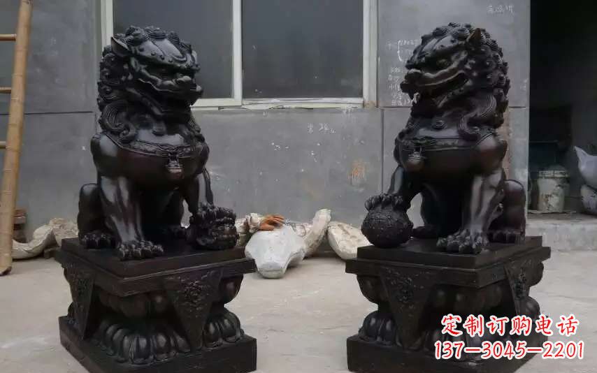 信阳踩球镇的狮子之家