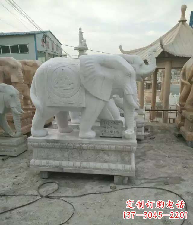 信阳大理石大象——雕塑之美