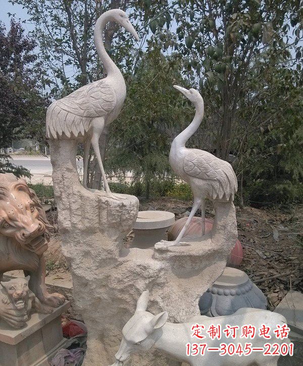 信阳静谧优雅的丹顶鹤雕塑