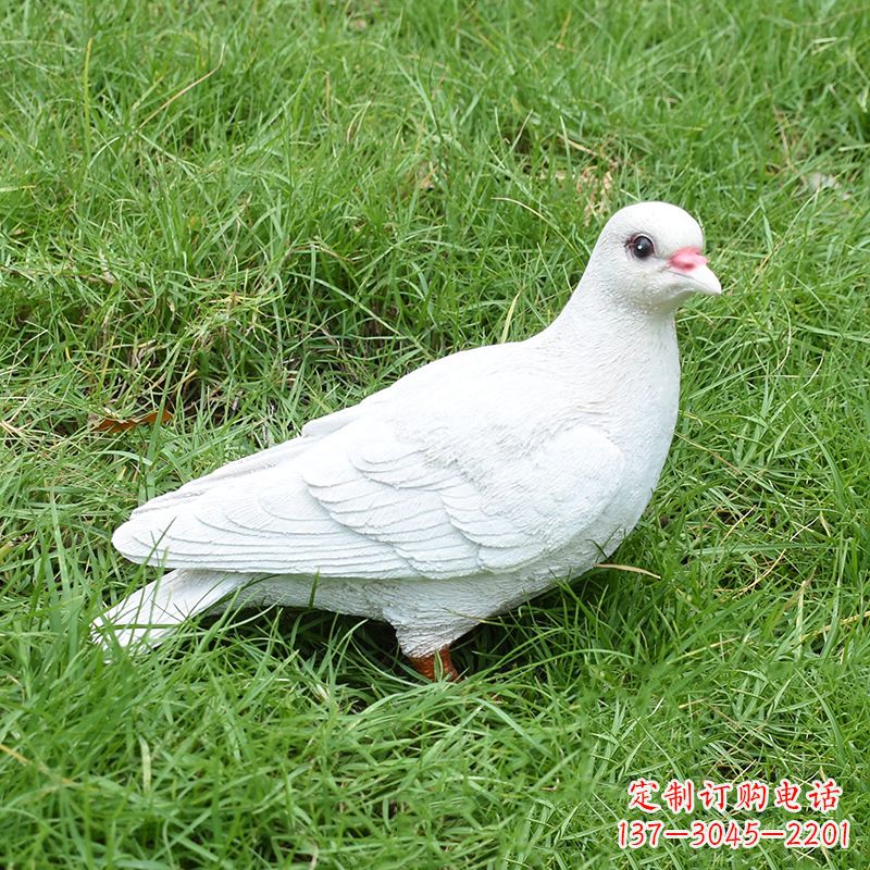 信阳纪念和平的“和平鸽”雕塑