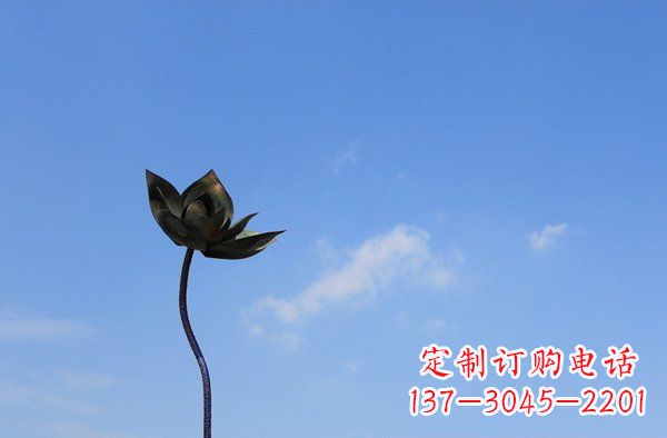 信阳公园不锈钢荷花雕塑