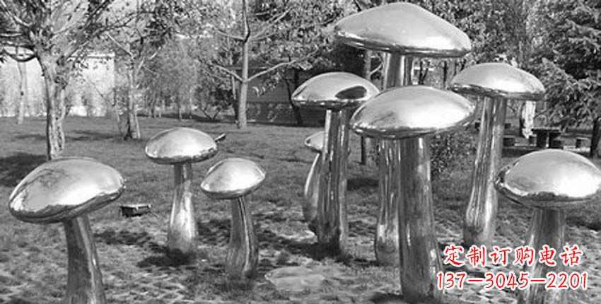 信阳萌芽之美，蘑菇景观雕塑