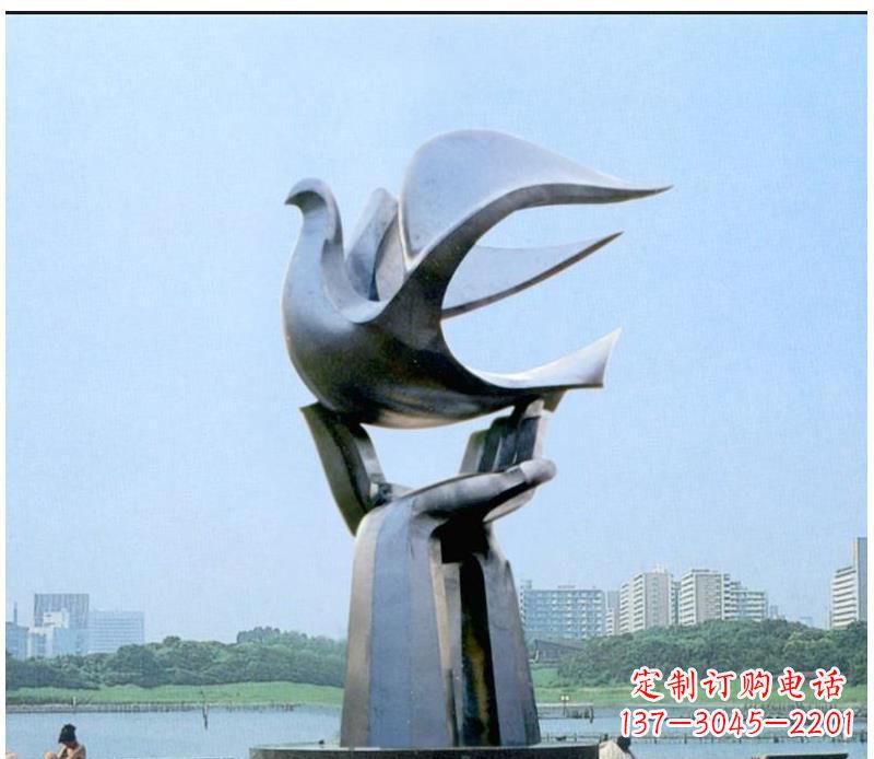 信阳静谧之鸽,传递和平象征~