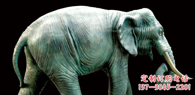 信阳公园大象动物铜雕 (3)