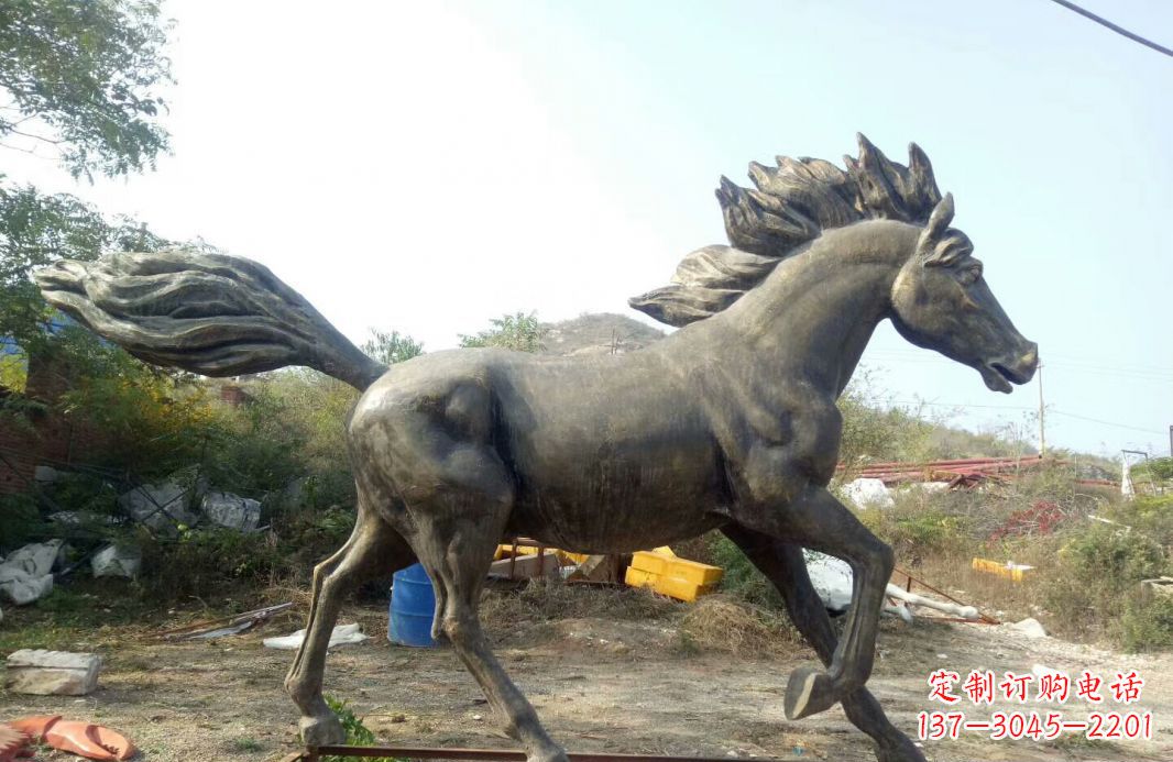信阳独特的动物雕塑