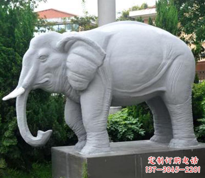 信阳公园动物大理石大象石雕 (5)