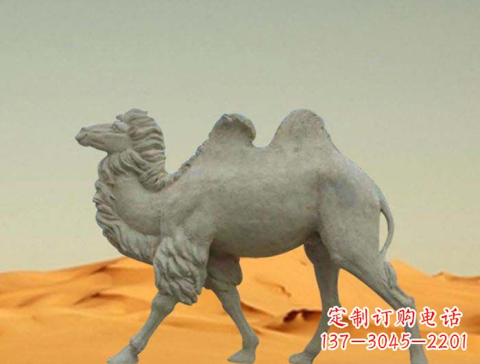 信阳欣赏大自然的优美,惊叹于实用的骆驼雕塑