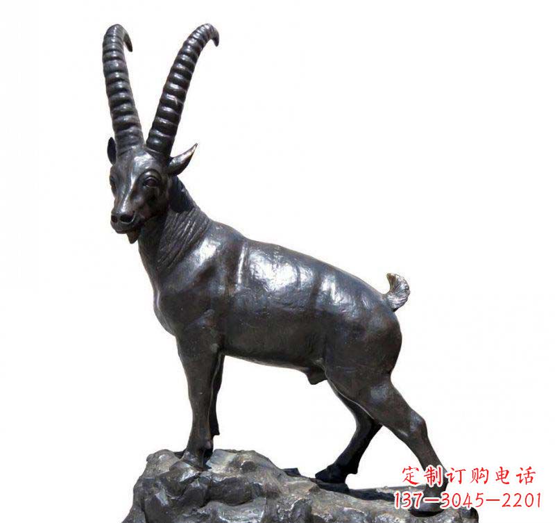 信阳铜雕羚羊,精美外形及细节刻画精美