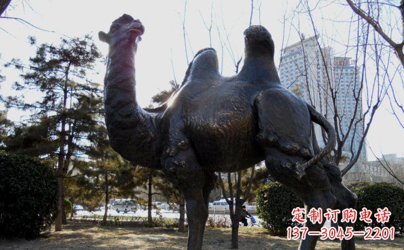 信阳优美雕刻骆驼铜雕塑