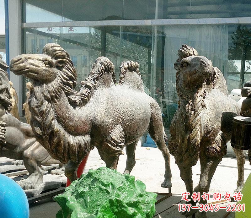 信阳公园骆驼动物铜雕 (2)