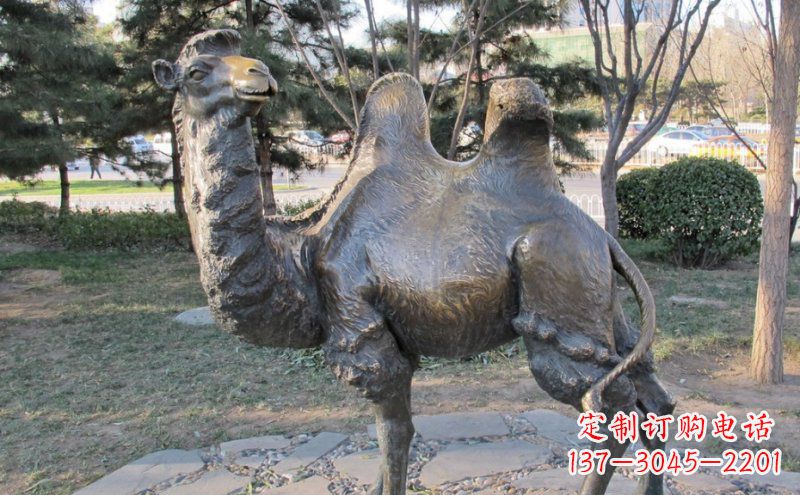 信阳铜骆驼雕塑——浓缩自然美丽
