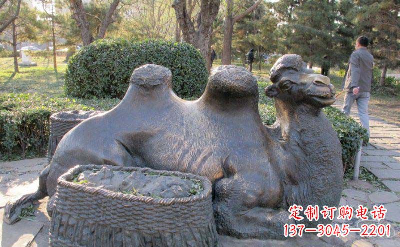 信阳精致骆驼铜雕塑