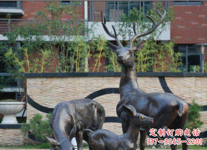 信阳古雅优雅的梅花鹿铜雕