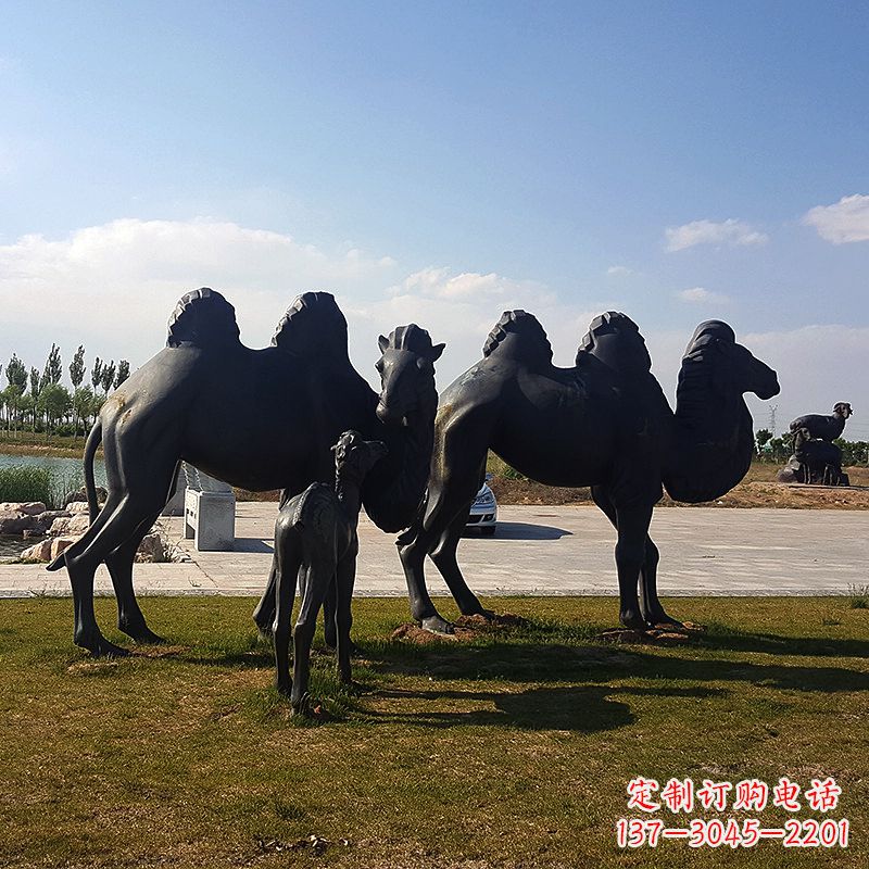 信阳铜骆驼雕塑,精致景观装饰