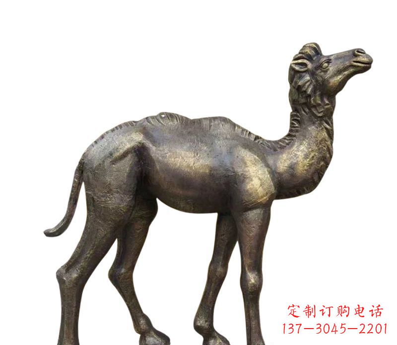 信阳奇美洁净的骆驼铜雕