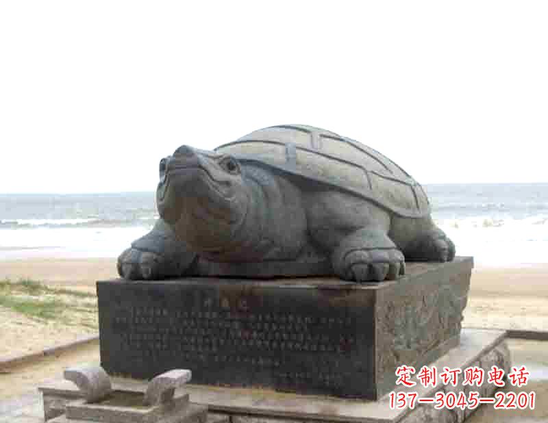 信阳时尚精致的乌龟铜雕