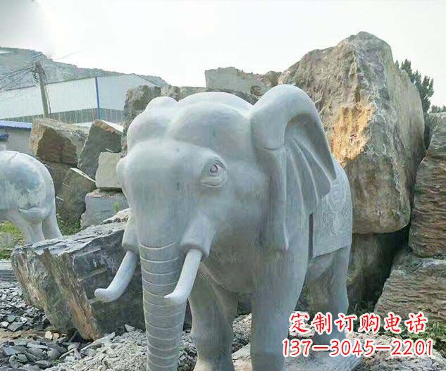 信阳广场景观大理石大象石雕 (2)