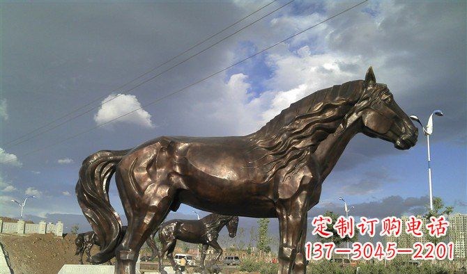 信阳广场马动物铜雕 (2)