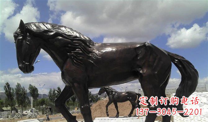 信阳广场马动物铜雕 (3)