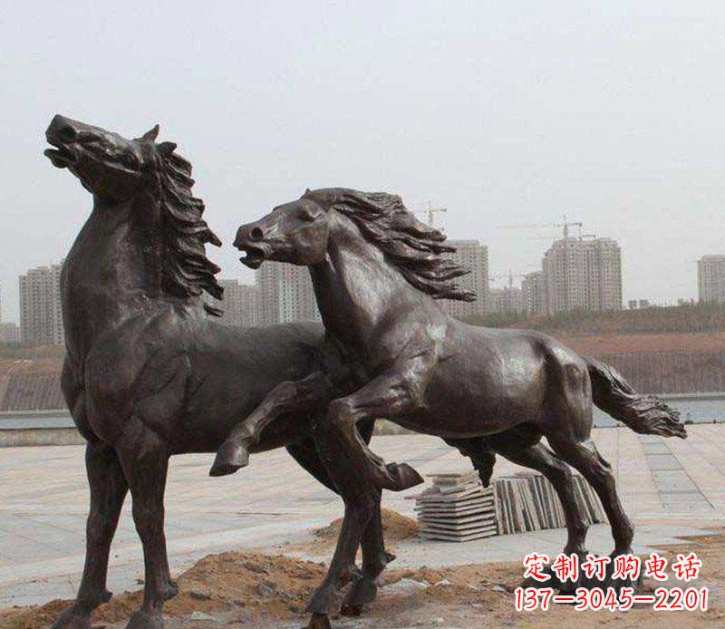 信阳广场马动物铜雕_1