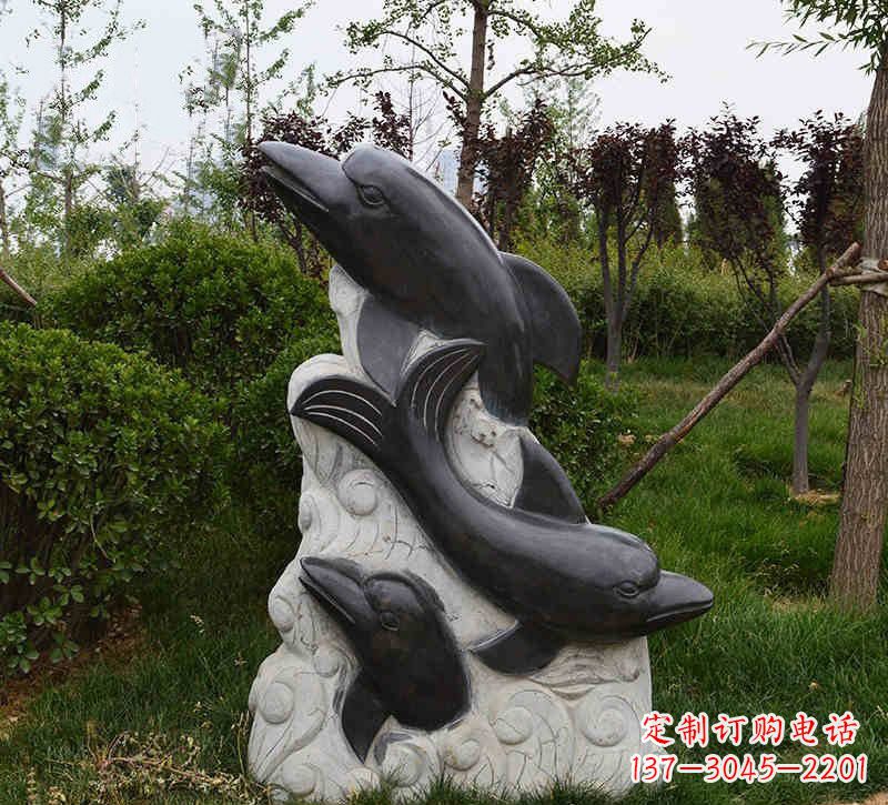 信阳特色海豚雕塑,带您体验最真实的海洋梦想