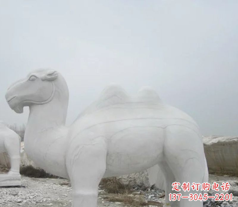 信阳汉白玉骆驼石雕塑,装点家居空间