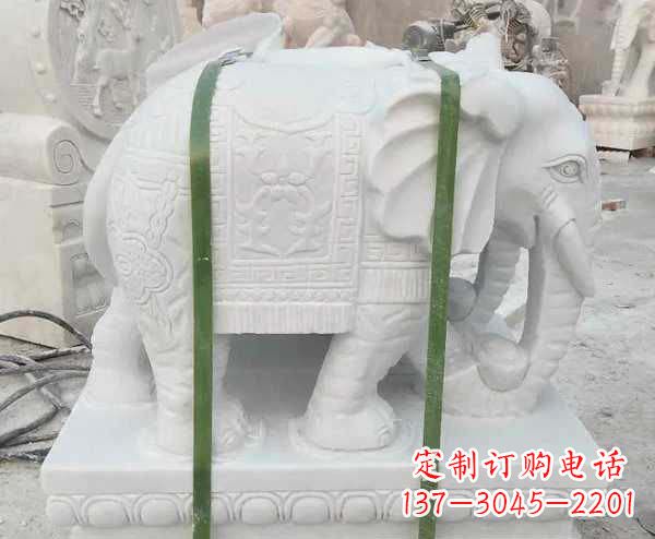 信阳瑞气四溢的汉白玉招财大象雕塑