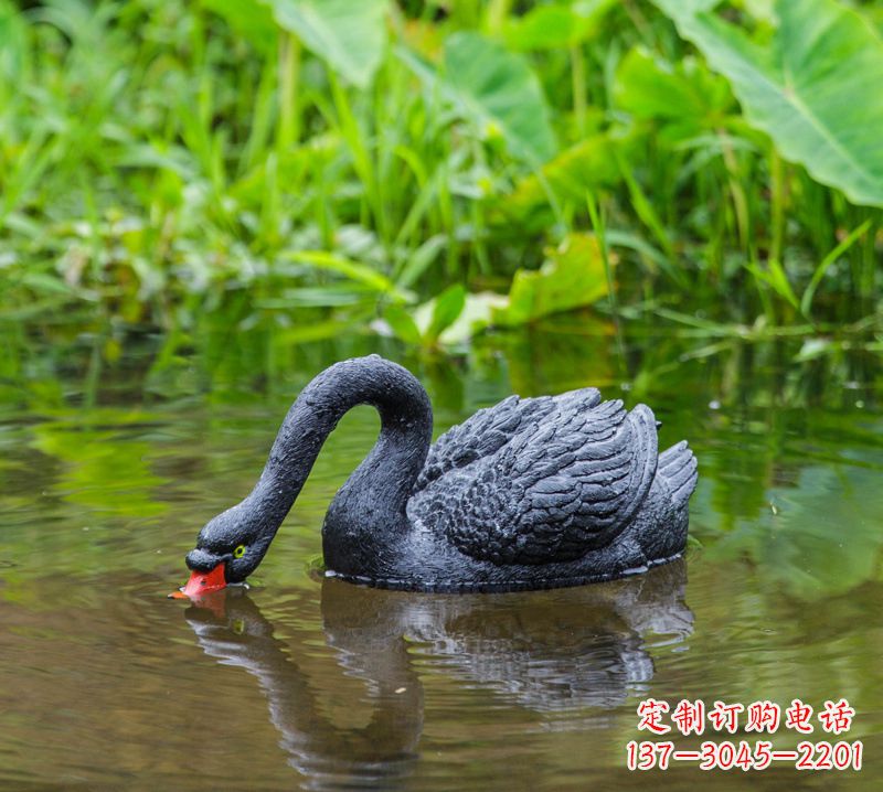 信阳黑天鹅雕塑,水塘装饰摆件