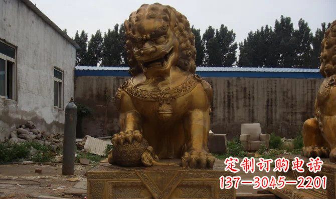 信阳黄铜狮子雕塑,让您的空间更加华贵