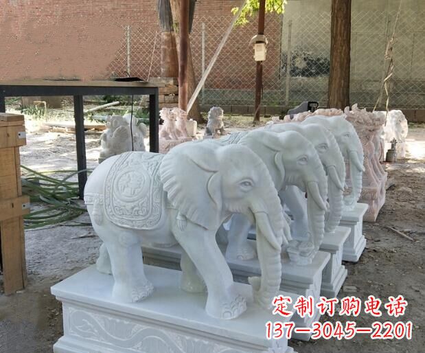 信阳美轮美奂的大象雕塑