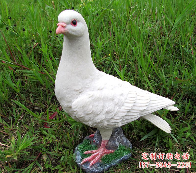 信阳角斗士广场鸽子雕塑,象征勇气和坚毅
