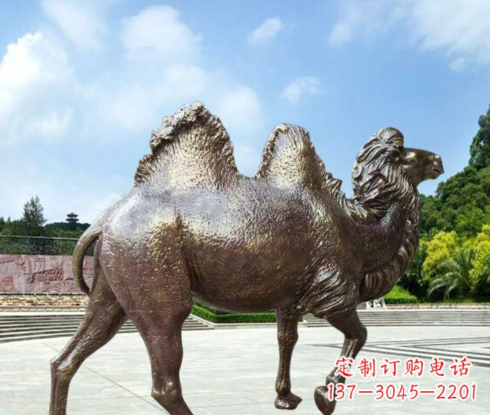 信阳欣赏骆驼美感,购买骆驼铜雕