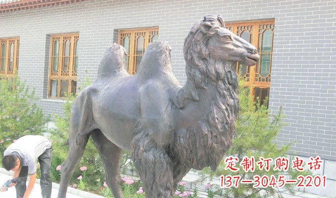 信阳精美的骆驼铜雕,提升您的公园气质