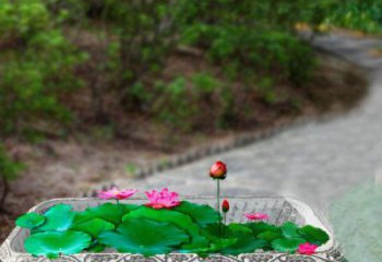 信阳独特的福字雕塑，为家庭增添乐趣
