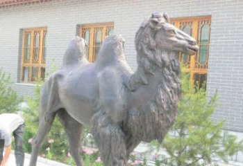 信阳精美的骆驼铜雕，提升您的公园气质