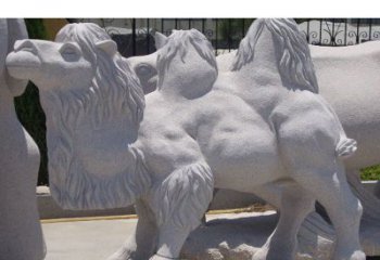 信阳艺术珍品—骆驼石雕