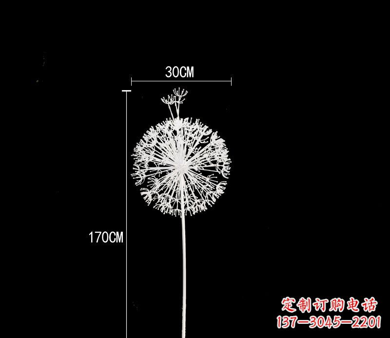 信阳美观耐用的不锈钢蒲公英雕塑