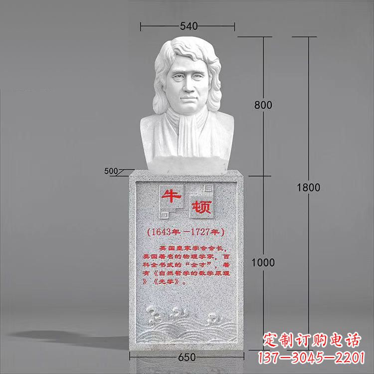 信阳艺术精灵:牛顿汉白玉石头像雕塑